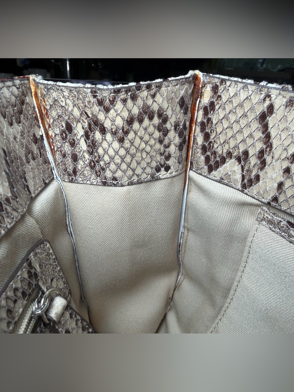 The Limited Beige Snake-Print Clutch - Picture 14 of 15